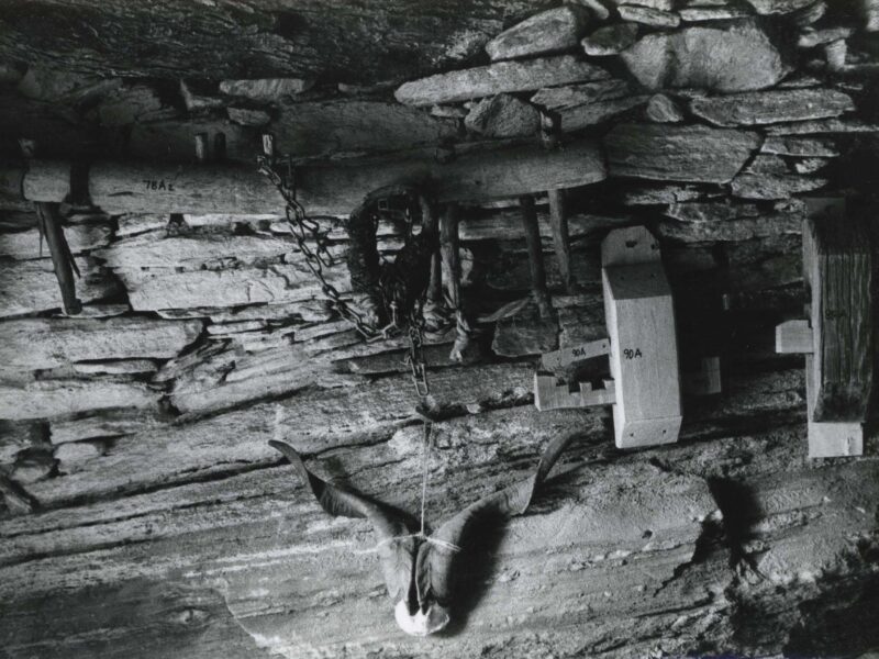 pos_xenakis_document_0056